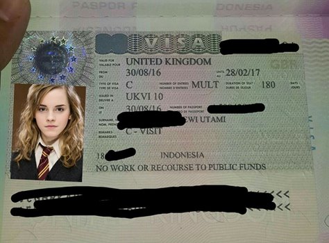 visa