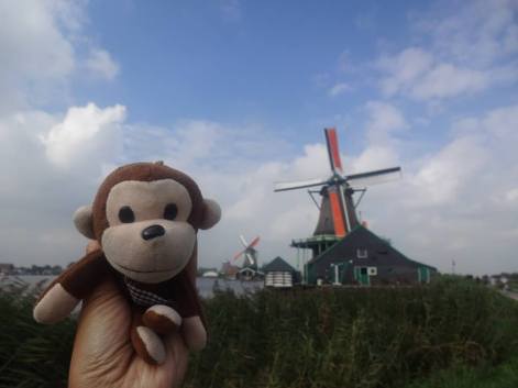ams 2